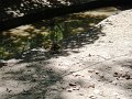 August2008 074